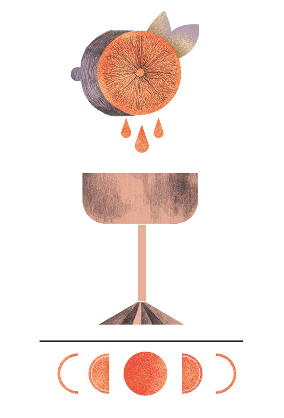 illustration of half an orange on top of a glass